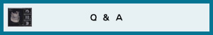 Q&A
